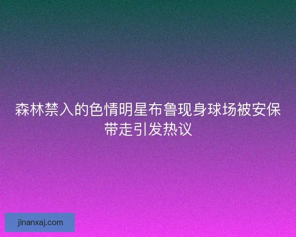 森林禁入的色情明星布鲁现身球场被安保带走引发热议
